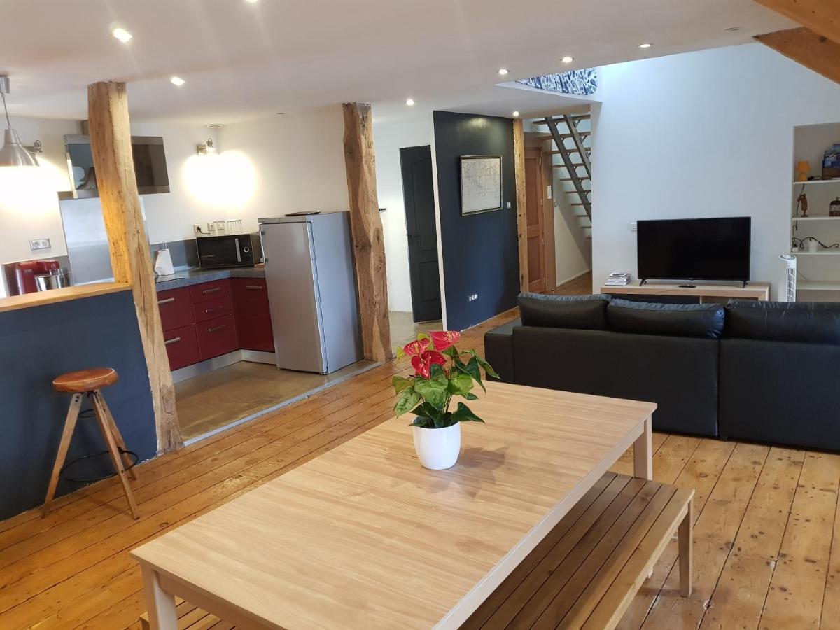 Loft Dans Les Pyrenees Leilighet Oloron-Sainte-Marie Eksteriør bilde